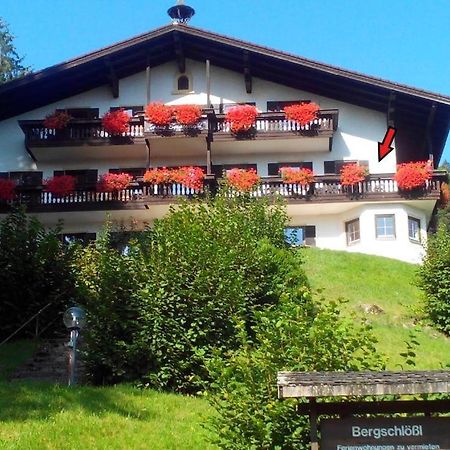 Ferienwohnanlage Bergschloessl Appartement Nr18 Обераудорф Екстериор снимка